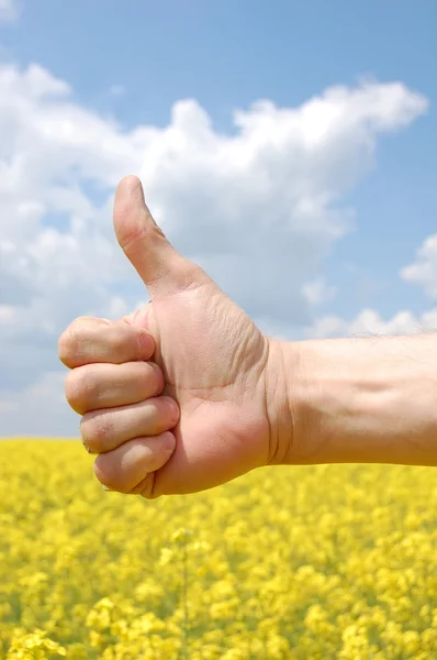 Рука фермера символизирует урожай этого года — стоковое фото