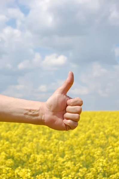 La main de l'agriculteur symbolise la récolte de cette année — Photo