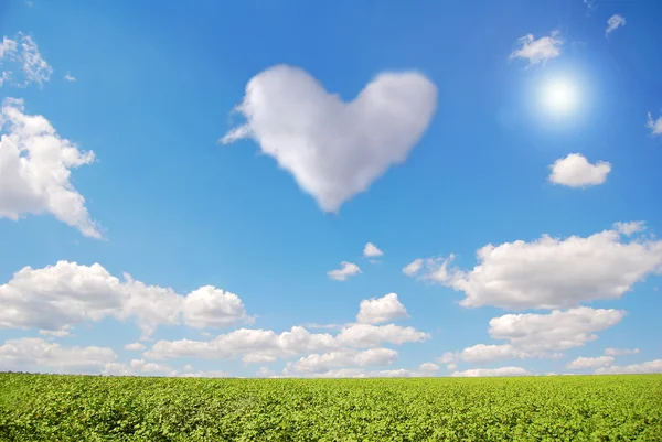 Hjärta i himlen och gröna fält — Stockfoto