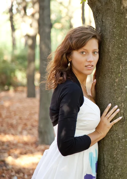Bella ragazza dai capelli castani vicino albero nel parco . — Foto Stock