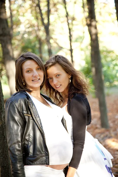 공원에서 두 명의 아름 다운 자매. — 스톡 사진