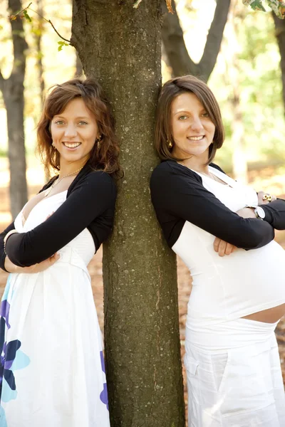 Dwie piękne siostry w parku. — Zdjęcie stockowe