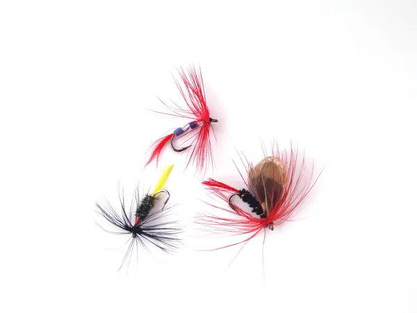 Fly Fishing Stock Picture