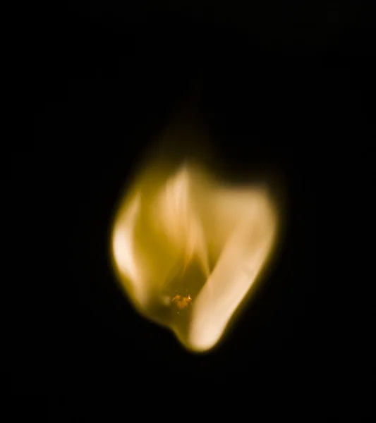 Fire on match — Stock Photo, Image
