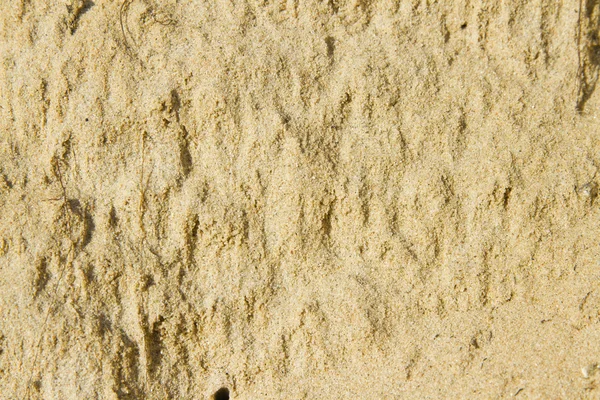 Kum duvar kağıdı — Stok fotoğraf