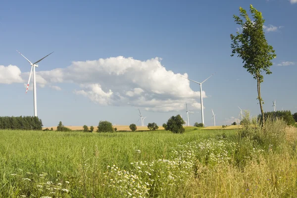 Landschaft mit Windmühle — Stockfoto
