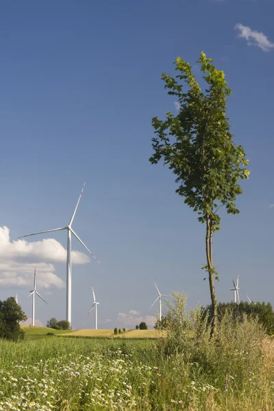 Landscape with windmill — Stock Photo, Image