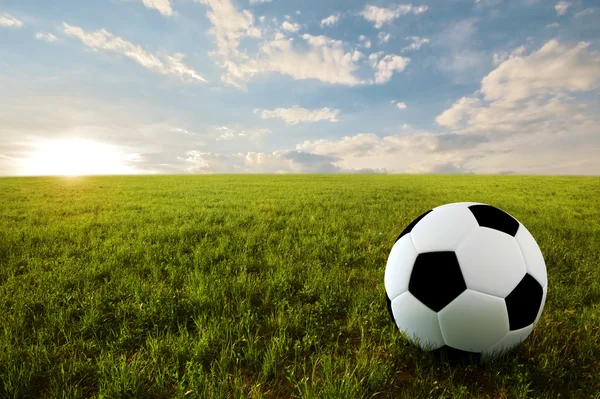 Soccer ball in meadow — Stock Photo, Image