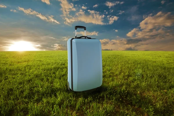 Suitcase in meadow — Stock Photo, Image