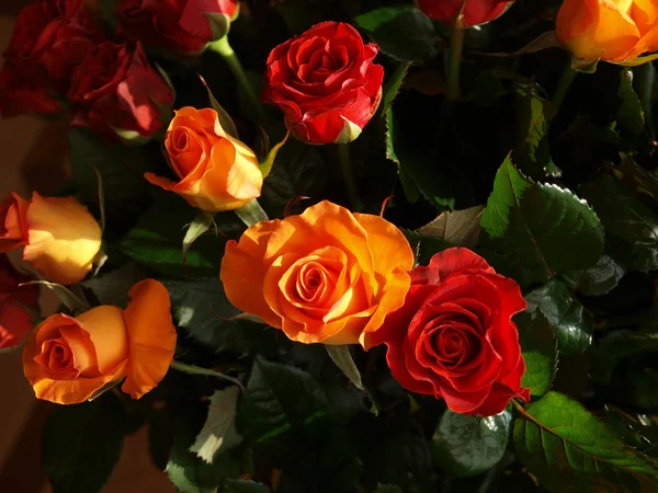 Beautiful bunch of roses — Stock Photo, Image