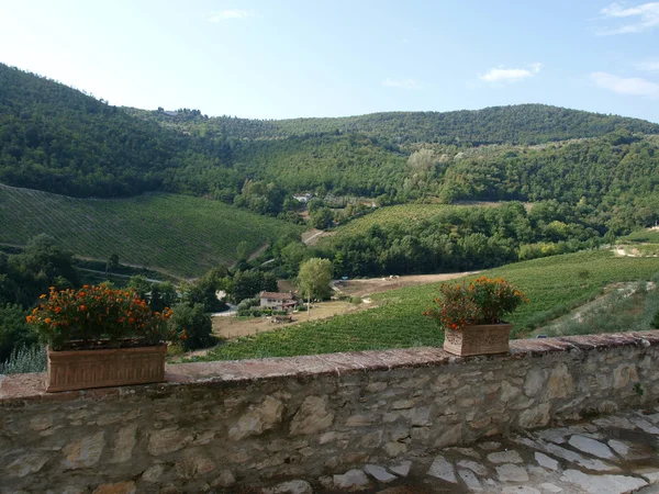stock image Tuscan landscape