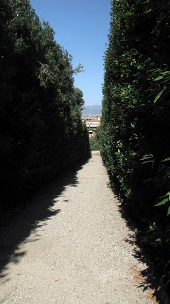 Florence - Boboli Gardens — Stock Photo, Image