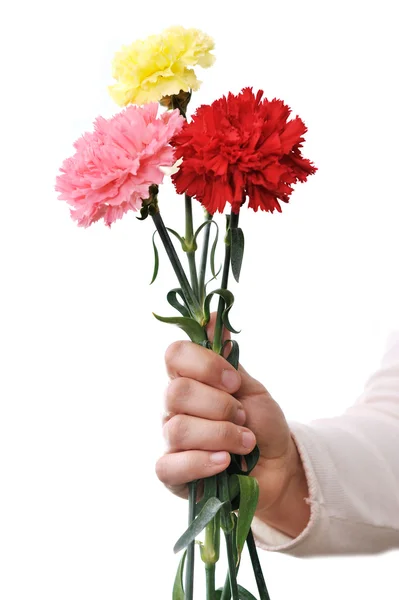 Girl holding a long flowers — Stock Photo, Image