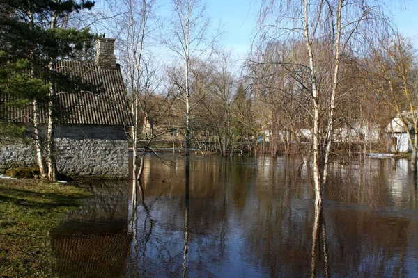 Весеннее наводнение — стоковое фото