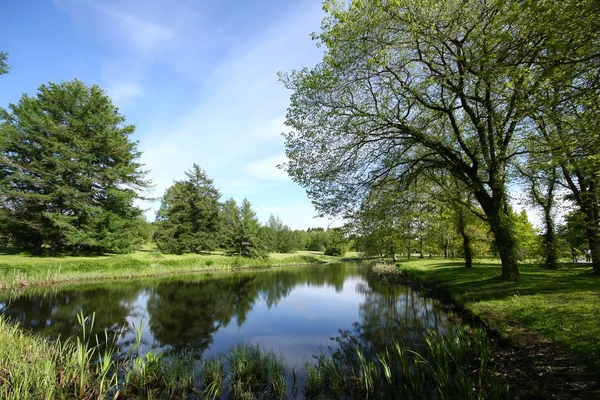 Spring park reflect in pond — Stock Photo, Image