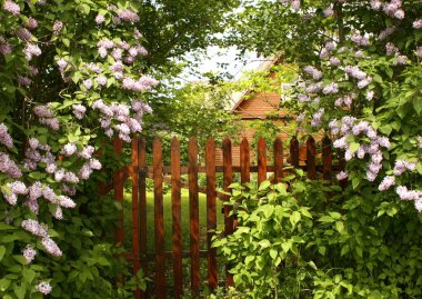 Secret entrance to the garden clipart