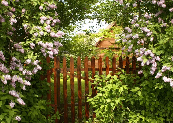 Hemliga ingången till trädgården — Stockfoto