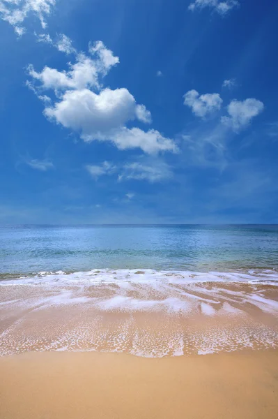 黄金海滩 免版税图库照片