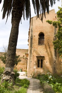 olarak chefchaouen içinde