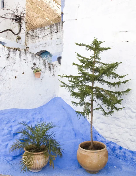 Detail from typical street in chefchaouen, in north of morocco — Stock Photo, Image