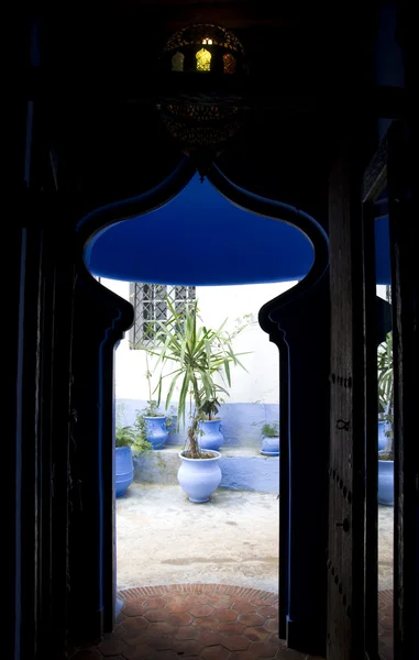 Majorelle gardens, Marrakesz, Maroko — Zdjęcie stockowe