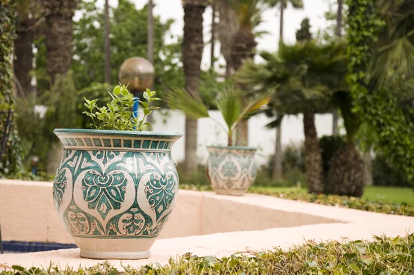 在摩洛哥花园里的植物带锅 — 图库照片
