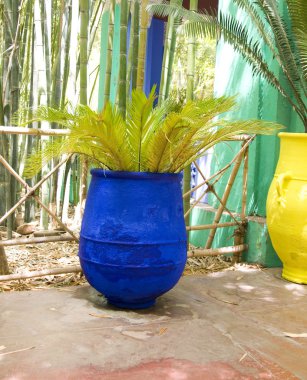 Majorelle bahçeleri, marrakesh, morocco