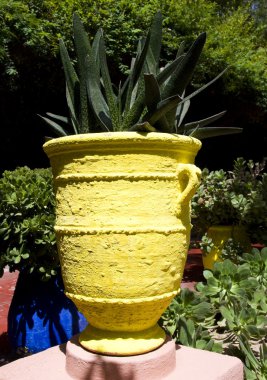 Majorelle bahçeleri, marrakesh, morocco