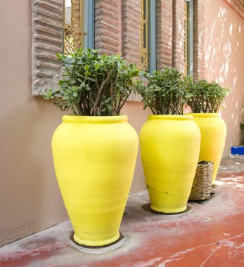 Majorelle bahçeleri, marrakesh, morocco