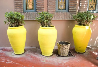 Majorelle bahçeleri, marrakesh, morocco