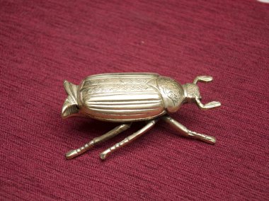 böcek şeklinde pin