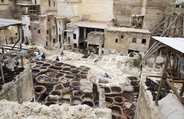 stock image Fes tannery