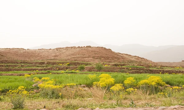 stock image Village on Atlas mountain in Morocco