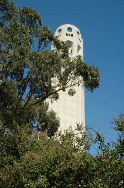 Coit Tower — Stock Photo, Image