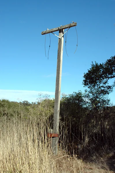 Utility pole — Stock Photo, Image