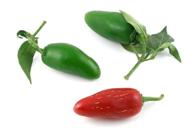 Red & green jalapeno peppers — Stock Photo, Image