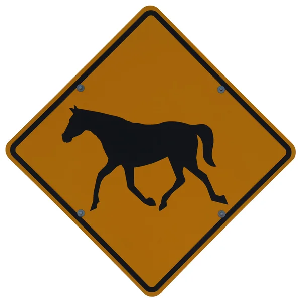 Horse Crossing — Stock Photo, Image