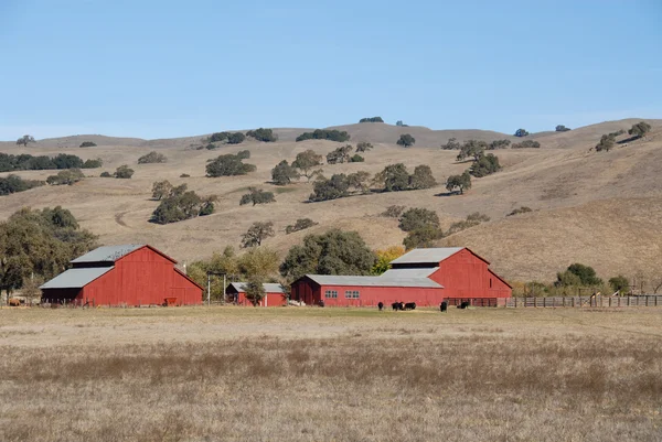 Kırmızı ahır ve kahverengi hills — Stok fotoğraf