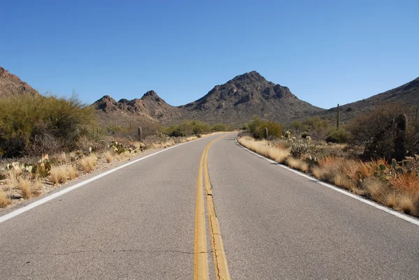 Autopista del desierto — Foto de Stock