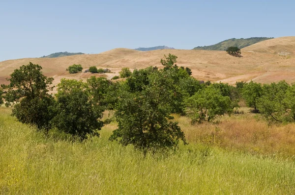Kahverengi hills — Stok fotoğraf