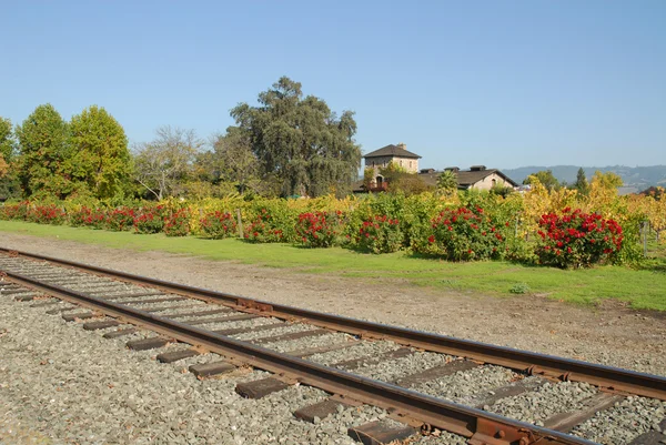 Wine Country Railroad — стоковое фото