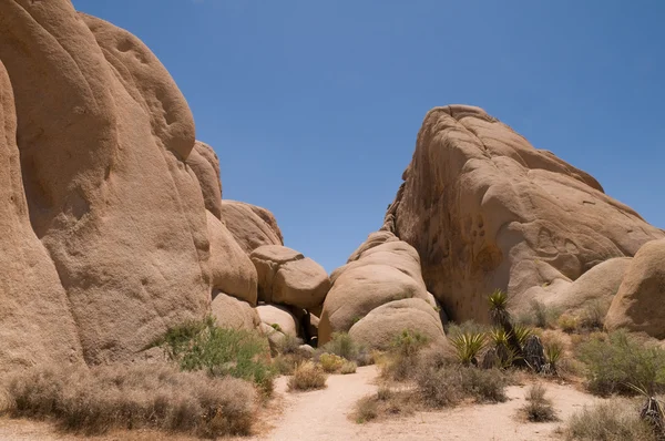 巨型岩石 — 图库照片