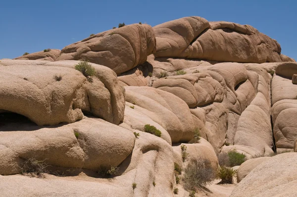 stock image Jumbo Rocks