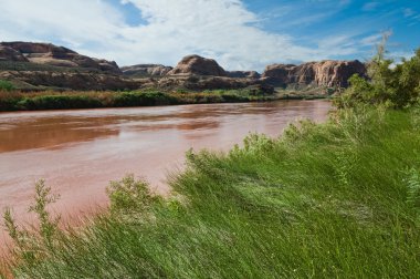 Colorado Nehri