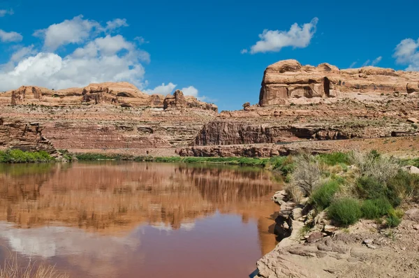 Colorado River — Stock Photo, Image
