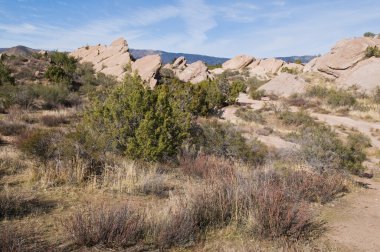 Vasquez Rocks