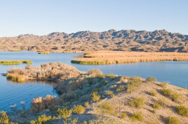 Havasu Gölü'ne