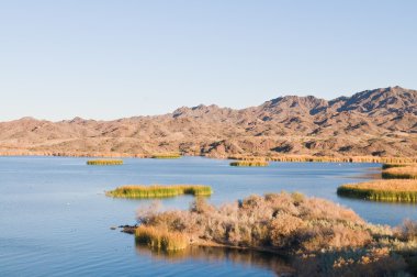 Havasu Gölü'ne