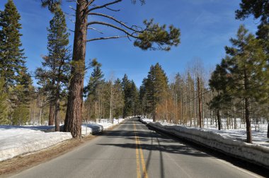 Winter road clipart