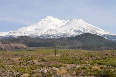 Mount shasta